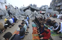 Trái tim tôi chết lặng ...