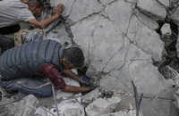 Không còn tính được số người chết ở Gaza? 