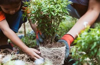 Bảo vệ môi trường, chuyện không chỉ của người lớn
