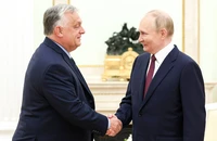 Quan điểm Nga, Ukraine về đề xuất ngừng bắn Giáng sinh