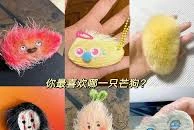 Hạt xoài, men nở… 'thú cưng kỳ lạ' bầu bạn cùng giới trẻ Trung Quốc 