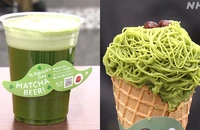 Nông dân Nhật đau đầu vì cơn sốt Matcha 