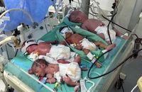 Xót xa tình cảnh trẻ sơ sinh giữa Gaza kiệt quệ vì chiến sự 