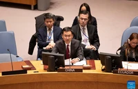 Mỹ, Trung Quốc 'đấu khẩu' tại Hội đồng Bảo an về xung đột ở Ukraine