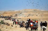 Câu chuyện Gaza: Về nhà thôi…