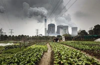 COP30 và tính quyết định với cuộc chiến khí hậu