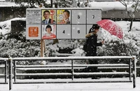 NHK: Đảng LDP của Thủ tướng Takaichi sẽ thắng lớn ở Hạ viện Nhật