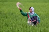 Nguồn cung lương thực toàn cầu lao đao vì chiến sự Trung Đông