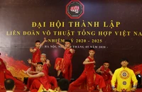 Cột mốc lịch sử của Liên đoàn Võ thuật tổng hợp Việt Nam