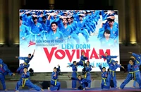 Khám phá sự độc đáo của Liên hoan Võ thuật Việt - Hàn 2023