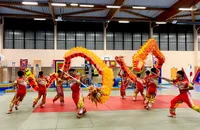 Lân Sư Rồng và Vovinam trình diễn ngoạn mục tại Pháp