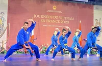 Ngày Việt Nam tại Pháp 2023: Ấn tượng Võ Việt!