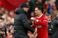 Cầu thủ Liverpool suy sụp khi HLV Klopp nói lời chia tay
