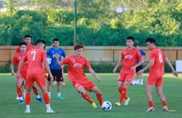 Đội tuyển Việt Nam ưu tiên ổn định, hạn chế thử nghiệm