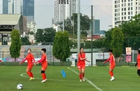 Bóng đá Việt Nam và Malaysia bổ sung ngoại binh nhập tịch cho giải châu Á