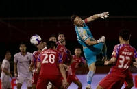 Nhiều CLB đổi tên, giải V-League 2025-2026 có nhiều nét mới