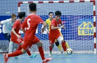 VFF chính thức gửi văn bản cho AFF yêu cầu làm rõ sự cố hiển thị sai quốc kỳ