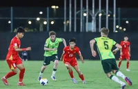 FIFA gây sốc, U-17 Việt Nam bất ngờ “biến mất” khỏi World Cup