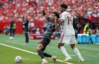 World Cup 2026 hỗn loạn vì cơn mưa thẻ đỏ
