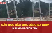 cầu treo, cuốn trôi, sông Đa Nhim