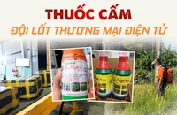  thương mại điện tử, thuốc cấm, nhập lậu, Campuchia