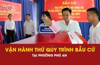 bầu cử, phường Phú An, 