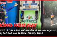 Nóng hôm nay, xăng sinh học, Bộ Công Thương