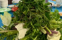 Ăn những loại thực phẩm này giúp cải thiện trí nhớ 