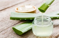 Nước ép lô hội và nhiều lợi ích về sức khỏe