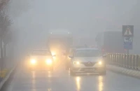 Cách sử dụng đèn sương mù an toàn trong thời tiết xấu