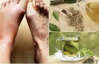 Uống những loại trà này để giảm mức axit uric
