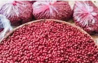 Điều gì xảy ra khi bạn ăn 7 hạt đậu phộng mỗi ngày?
