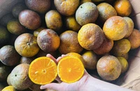 Tránh kết hợp trái cây với 5 thực phẩm này để sức khỏe không gặp rắc rối