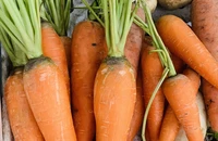 5 món salad làm từ cà rốt giúp bạn giảm cân nhanh chóng
