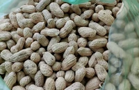 Một số loại thực phẩm giàu protein để tiêu thụ khi nhịn ăn gián đoạn chay