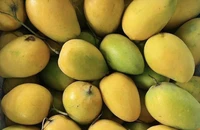 8 lợi ích tuyệt vời khi ăn xoài vào mùa hè