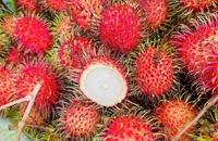 Lợi ích sức khoẻ khi ăn chôm chôm