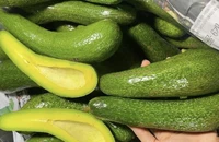 Những món ăn nhẹ tốt nhất cho sức khỏe đường ruột