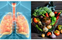 12 loại thực phẩm giúp tăng cường sức khỏe hô hấp tự nhiên