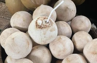 Uống nước dừa mỗi ngày, chuyện gì xảy ra với sức khỏe?