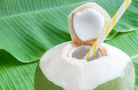 Người bị tiểu đường có thể uống nước dừa không?