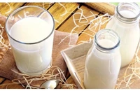 5 lợi ích sức khỏe của việc uống sữa với đường thốt nốt trước khi đi ngủ