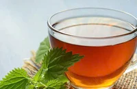 Uống trà buổi sáng ảnh hưởng thế nào đến sức khỏe đường ruột của bạn