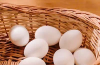 Bất ngờ với tác dụng của trứng gà đối với trí não