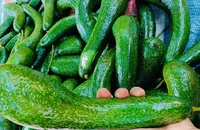 6 thực phẩm giúp giảm mỡ nội tạng