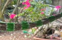 Tăng cường năng lượng nhanh chóng bằng 8 mẹo đơn giản và hiệu quả