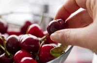 15 loại trái cây giàu protein nhất