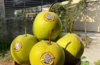 Ăn quả lê không chỉ giảm nguy cơ mắc bệnh tim mà còn loại bỏ độc tố