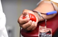 Hiến máu có thực sự giúp giảm nguy cơ ung thư máu, bệnh tim và tiểu đường?