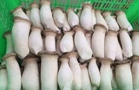 Loại thực phẩm quen thuộc giúp kiểm soát bệnh tiểu đường